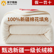 新疆棉被纯棉花被子冬被加厚保暖手工棉絮被芯，全棉春秋被床垫3200