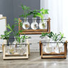 创意木架桌面水培玻璃花瓶，养绿萝植物花盆容器，摆件办公室客厅装g