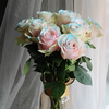 伊莎贝拉粉蓝玫瑰鲜花稀有情人节圣诞节家用生日表白求婚礼物花束