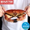 1.5-3斤可选北京闪送鲜活面包，蟹英国进口黄金，蟹大螃蟹海鲜水产