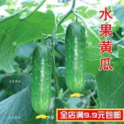 种子水果黄瓜 四季易播阳台种菜家庭盆栽 甜脆水分足蔬菜种子