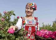 特级新疆和田沙漠玫瑰花茶，大马士革无硫熏干玫瑰散装500g花蕾