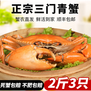 三门青蟹鲜活特大青蟹2斤装公蟹肉，蟹海鲜水产，螃蟹海蟹非膏蟹