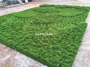 仿真植物墙绿植墙青苔藓人造草皮，仿真草坪绿化装饰植绒草皮假苔藓