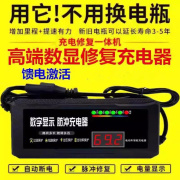 激活饿死电池修复器电动车充电器48V60v72v脉冲维护电瓶铅酸电池2