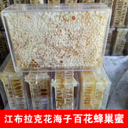江布拉克花海子蜂巢蜜纯正天然成熟蜜，农家自产野生蜂巢蜜嚼着吃