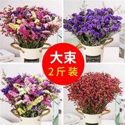 家居客厅卧室装饰干花勿忘我满天星混搭干花束小雏菊勿忘我真花束