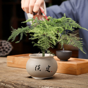 创意个性紫砂茶宠摆件迷你花器花瓶水培，植物花插茶桌装饰茶具配件
