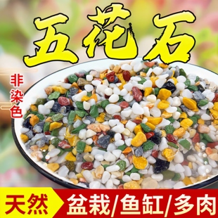 天然彩石多肉盆栽铺面，石子鹅卵石鱼缸造景，底砂种花装饰五彩小石头