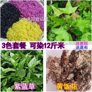 黑紫黄三广西五色糯米饭植物染料天然植物染色香枫叶紫蓝草黄饭花