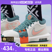 NIKE耐克男鞋篮球鞋23运动鞋缓震LBJ詹姆斯训练鞋FB2237-101