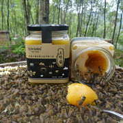 水镜蜂情土蜂蜜 原生蜂蜜 原始土法割蜜 天然农家自产 纯蜂蜜