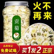 贡菊特级菊花茶胎菊杭白菊，去火清热解毒黄山中药材