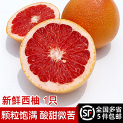 新鲜西柚1只装红心葡萄柚，柚子当季时令水果5件