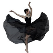 专业芭蕾舞蹈裙单吊带大背外加雪纺演出服舞蹈练习长裙芭蕾舞服黑