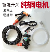 车载家用高压洗车12v220v电动洗车器微小型水泵，洗车机清洗水