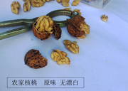 500g贵州赫章新鲜核桃湿核桃去青皮老品种野生山核桃现