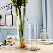 水培玻璃透明富贵竹花瓶摆件客厅插花欧式简约大号水养转运竹特大