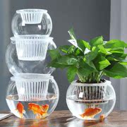 水培植物玻璃瓶透明直筒，圆柱形花瓶简约绿萝白掌水养，玻璃容器
