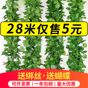 仿真葡萄叶假花藤条藤蔓植物树叶，绿叶水管道吊顶装饰塑料绿萝叶子