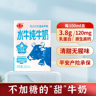 广西石埠水牛奶整箱200ml*10盒儿童牛奶，孕妇高钙全脂纯牛奶早餐奶