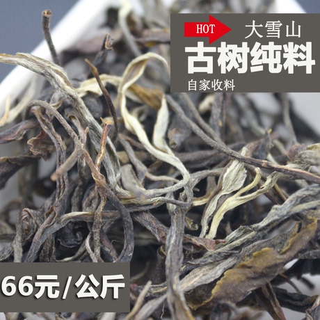 古树生茶散