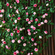 仿真玫瑰花假花空调管道装饰花藤条遮挡塑料藤蔓植物摆设吊顶墙面