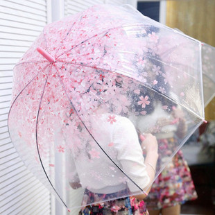 日本樱花伞韩国透明雨伞，折叠小学生公主儿童女孩，拱形小清新长柄伞