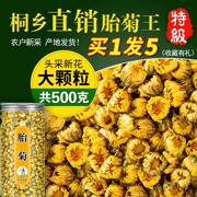 胎菊500g菊花茶桐乡胎菊王特级(王特级)正宗杭白菊，贡菊新茶包花茶(包花茶)散装