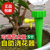5个自动浇花器可调节水量滴水，器植物浇水器懒人淋花家用渗水滴灌