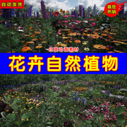 UE4花海虚幻UE5花草卉自然植物Flowers and Plants Nature Part 1