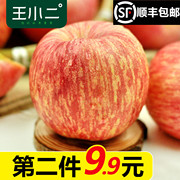 新鲜苹果水果山东烟台栖霞红富士野生丑平吃的5斤1王小二果园