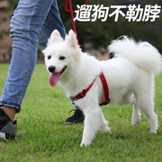 狗狗牵引绳背心式金毛可伸缩小型犬狗狗用品大型犬狗链胸背带狗绳