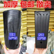 脐橙杯柑橘杯细长形加厚加高黑色一次性营养钵营养杯沃甘提根蔷薇