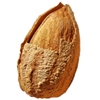 新疆巴旦木坚果特产新货原味壳杏仁奶油味纸皮八达木巴旦木果500g