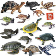 仿真乌龟玩具海龟绿皮龟陆龟象龟巴西龟甲鱼鳄龟海洋生物科教模型