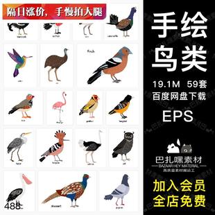59种鸟类猫头鹰火烈鸟老鹰手绘插画T恤图案印刷eps矢量素材