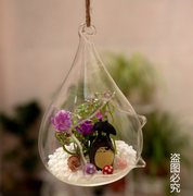 悬挂玻璃花瓶多肉植物，花瓶微景观瓶，五角星水培花器圆形吊瓶