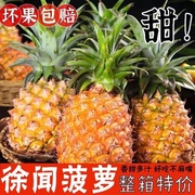 徐闻香水菠萝10斤当季热带水果新鲜金凤梨新鲜大菠萝大果整箱