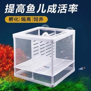 鱼缸繁殖隔离盒隔离网，孔雀鱼大号孵化器热带鱼小鱼苗繁殖箱分离网