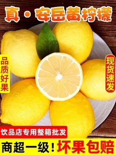 四川安岳黄柠檬现摘现发2023新果一二三级薄皮水果饮品店商用柠檬
