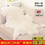 进口白色长毛动物皮毛整张羊皮地毯垫卧室垫飘窗垫纯羊毛羊毛坐垫