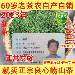 崂山绿茶2023年新茶春茶豆香浓郁崂茶农手工，大田崂山茶500克青岛