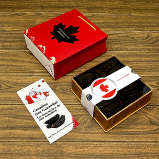 进口加拿大海参包装盒盒红极参阿拉斯加红刺参手提袋册子英文
