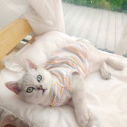 猫咪衣服夏季宠物春秋，小猫薄款防掉毛银渐层英短布偶猫猫幼猫背心
