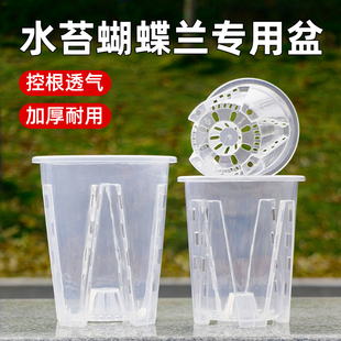 君子兰水苔蝴蝶兰专用花盆透明青山盆塑料控根盆栽家用透气兰花盆