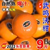 正宗广西沃柑10新鲜橘子水果武砂糖皇帝橘柑桔子鸣当季整箱沃柑