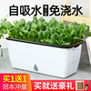 家庭阳台种菜盆种菜神器，懒人花盆自动吸水长方形塑料蔬菜种植箱