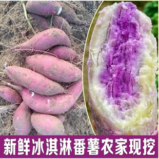 广东高州正宗食用冰淇淋番薯，紫心薯农家番薯板栗，薯2-9斤现挖现