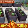2023蔬菜花箱户外庭院塑料，花盆种菜专用种植箱，阳台种菜盆长方形特